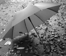 umbrella law - fixed fee AltusLaw